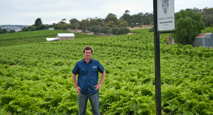 Angove Family Winemakers Vineyard